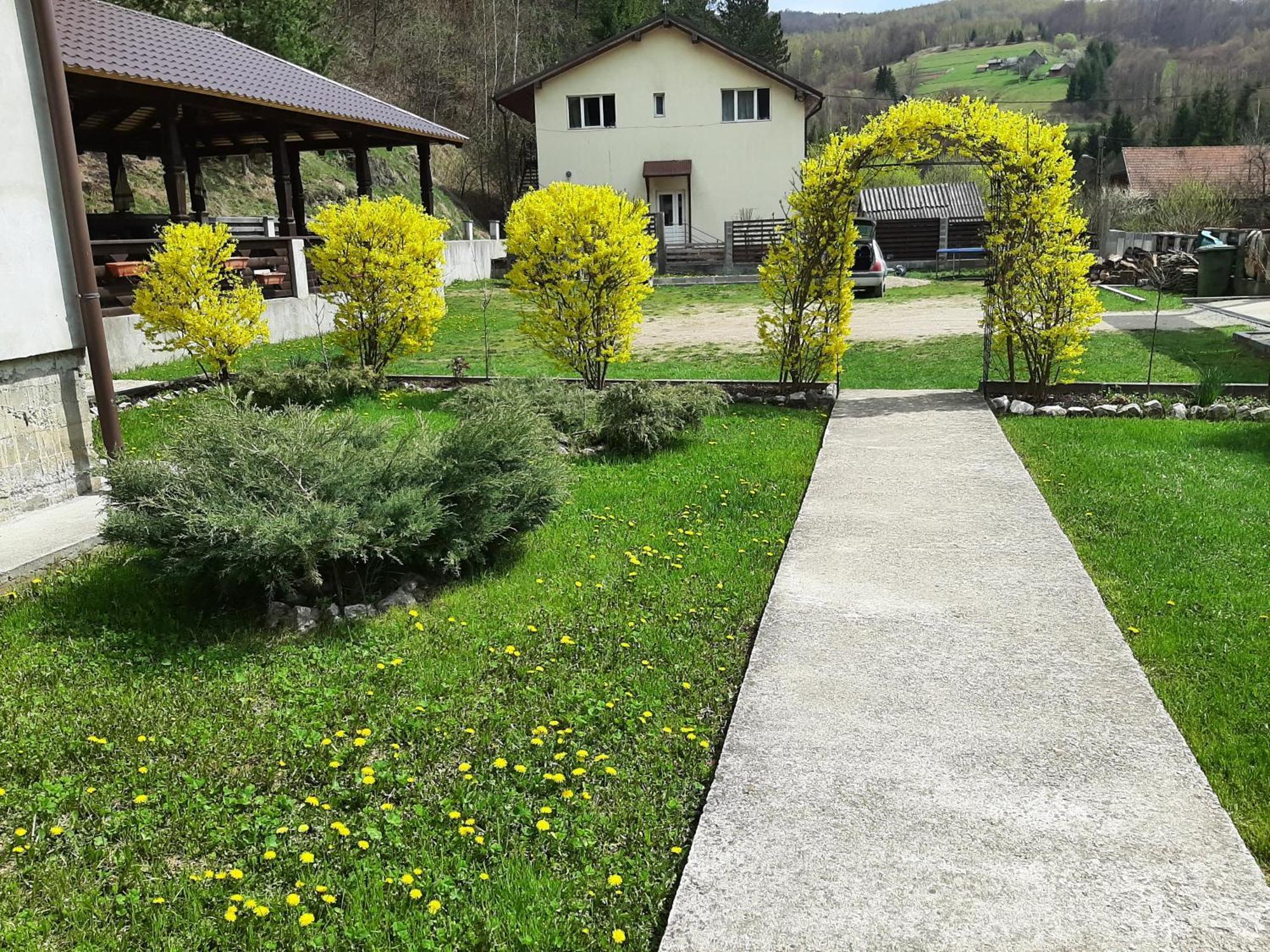Pensiunea La Rachitele Exteriör bild