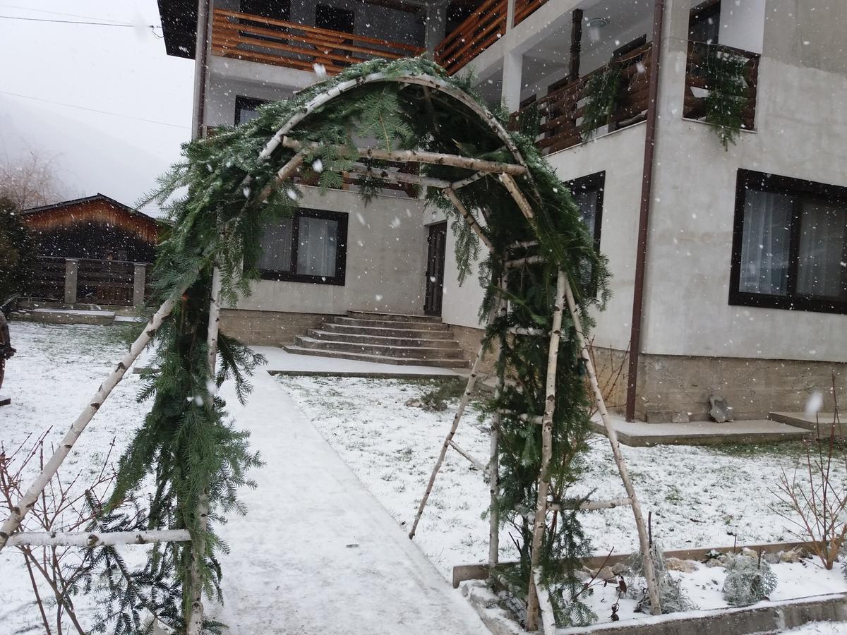 Pensiunea La Rachitele Exteriör bild